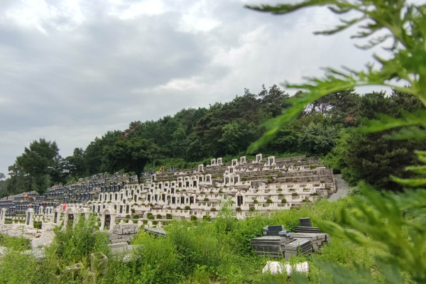 預約看沈陽墓地時如何規劃時間和行程？